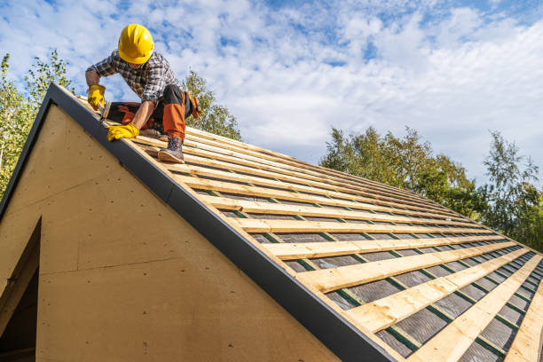 Best Roof Gutter Cleaning  in La Cygne, KS